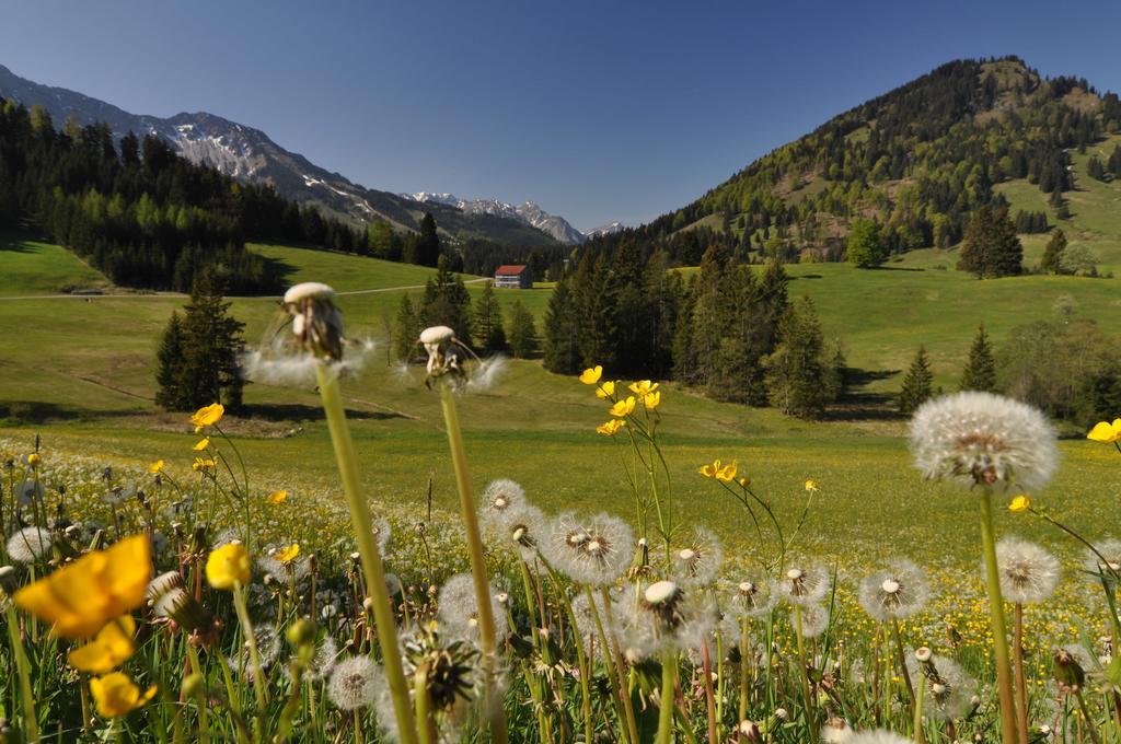 Landhotel Berghof Bad Hindelang Rum bild